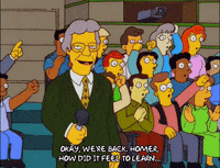 Episode 4 GIF by The Simpsons
