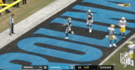 carolina panthers football GIF by NFL