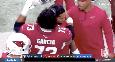 Arizona Cardinals Football GIF by NFL