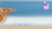 Ex On The Beach Reaction GIF by MTV Nederland
