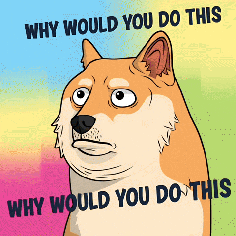 Confused Shiba Inu GIF by Doge Pound