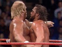 Royal Rumble Wrestling GIF by WWE