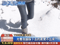 迷因 GIF