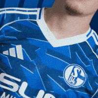Football Soccer GIF by FC Schalke 04
