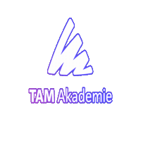 Leadership Ceo Sticker by TAM Akademie