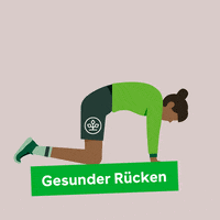 Cat Health GIF by AOK Niedersachsen