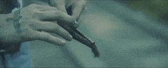 Country Music Love GIF by Elvie Shane