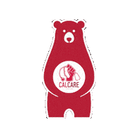 Bear Sticker by hc4us