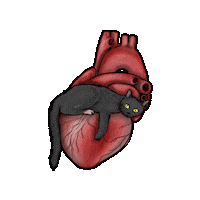 Human Heart Love Sticker