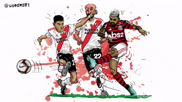 usedez81 2019 river flamengo libertadores GIF