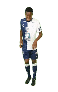 Liga Mx Cf Pachuca Sticker by Club Pachuca Tuzos