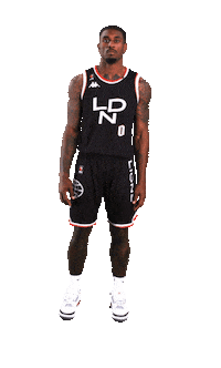 thelondonlions basketball london pose lions Sticker