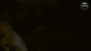 Science Fiction Thirteenth Doctor GIF by Doctor Who