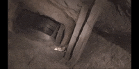 Halloween Cave GIF by DIIMSA Stock