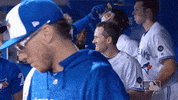 sunflower seeds GIF by MLB