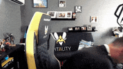 TeamVitality vitality shox GIF