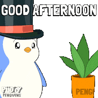 Good Morning Hello Sticker by Pudgy Penguins