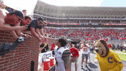 Earn It Golden Bears GIF by Cal Athletics