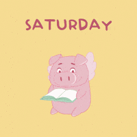Flying Pig Weekend GIF by PositivelyPigasus