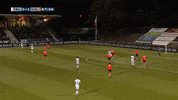 GIF by FOX Sports