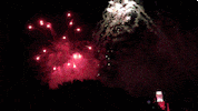fourth of july fireworks GIF by Disney