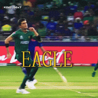 Eagle Lahore GIF