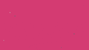 Country Music Singer GIF by Kylie Morgan