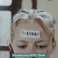 ketochow keto ketogenic keto diet ketochow GIF