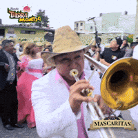 btmproducciones musica carnaval bailando musico GIF