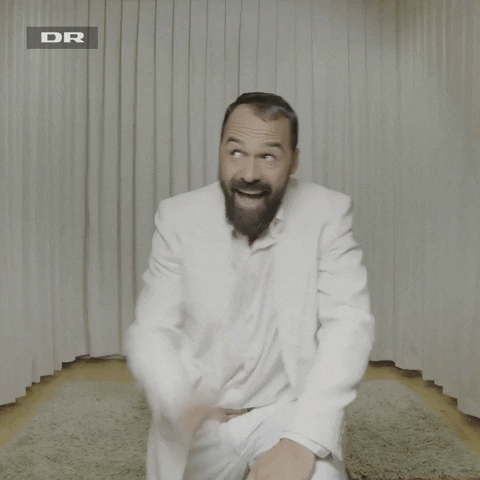 partying danmarks radio GIF by DR