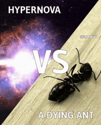 Igmiral GIF