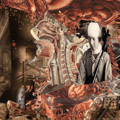 reinbijlsma giphyupload weird nft alien GIF