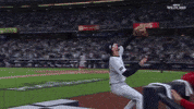 New York Yankees Wow GIF by MLB