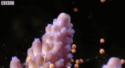 bbc two sea GIF by BBC