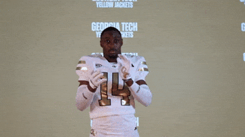 Georgia Tech Football Sport GIF by Georgia Tech Yellow Jackets