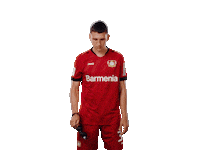Bayer 04 Deal With It Sticker by Bayer 04 Leverkusen