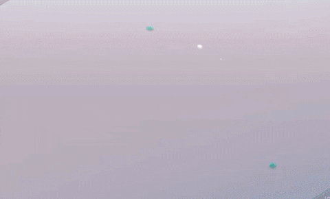 serbia belgrade GIF by Cesalj i Makaze