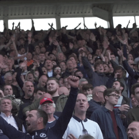OfficialMillwallFC giphyupload cheer fans away GIF