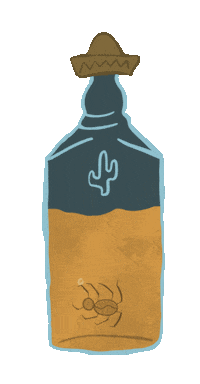 Bottle Spider Sticker