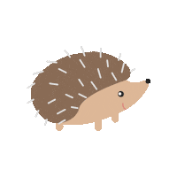 HogFriendly hedgehog hfc hedgehog friendly hedgehog friendly campus Sticker