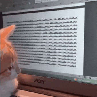 natliagutierrespatay giphyupload cat animals GIF