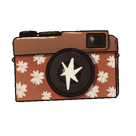 kohhrahimanshi giphyupload camera shoot photoshoot Sticker