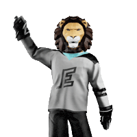 Hockey Vary Sticker by Tipsport extraliga