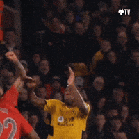 Premier League Football GIF by Wolves