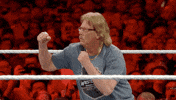 fight me wrestlemania 35 GIF by WWE