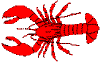 lobster STICKER