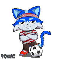 Football Win Sticker by Toshithecat