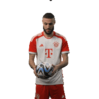 Football Sport Sticker by FC Bayern Munich