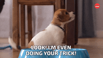 Doing your trick!