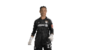 Champions League Goal Sticker by FC Bayern Women